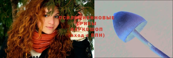 эйфоретик Абинск